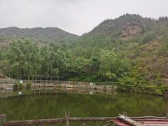 -双新垂钓园