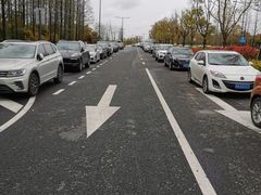 -上海长兴岛郊野公园