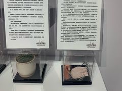-上海外滩星空失恋减压馆(外滩旗舰馆)