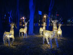 -长春公园(普阳街道)