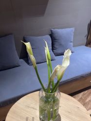 -卡莫瑜伽·普拉提