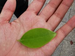 -宁波杉井奥特莱斯广场