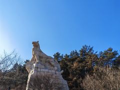 -帽儿山国家森林公园