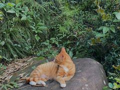 -杭州西湖风景名胜区-三生石