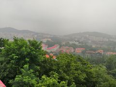 景色-信号山公园