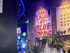 -bluefrog蓝蛙(皇庭广场店)