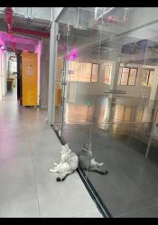 -我舞空间舞蹈培训