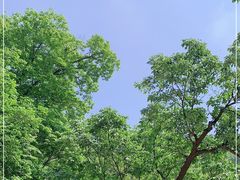 -终南山南五台景区