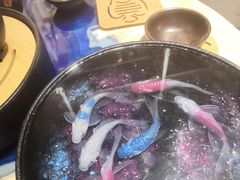 -贝壳梦幻世界