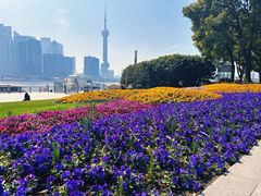 -北外滩滨江绿地