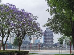 -眉山湿地公园(东坡区)