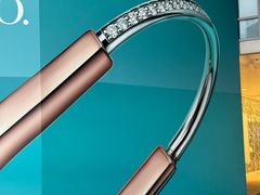 -Tiffany & Co.蒂芙尼
(武汉武商MALL店)