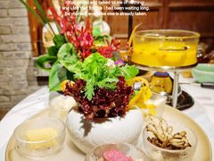 -叶叶菩提(太原别墅店)