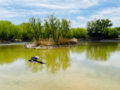 -三忘湖 SWANSEEN(柳荫公园店)