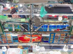 -班赞海鲜市场