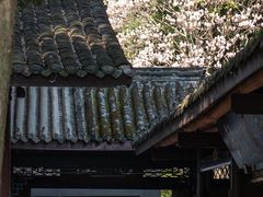 -成都杜甫草堂博物馆