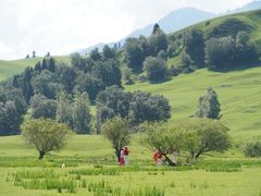 -新疆那拉提国家旅游度假区