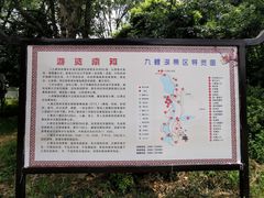 -九鲤湖风景区
