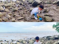 -宝安西湾红树林湿地公园