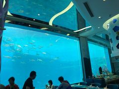 -瑞德姆美人鱼海底演艺主题餐厅(亚龙湾店)