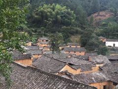 -杨家堂村