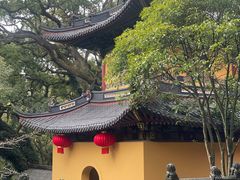 -普陀山风景名胜区-法雨禅寺