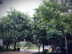 -唐城墙遗址公园