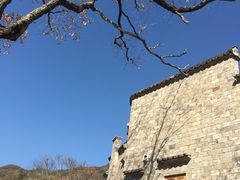 -塔川景区