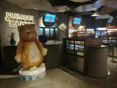 -百美汇影城(LUXE嘉里中心店)