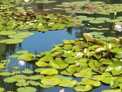 -国家植物园南园