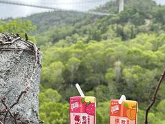 -汕尾铜鼎山旅游区