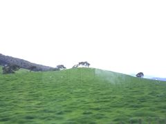 -怀托摩萤火虫洞