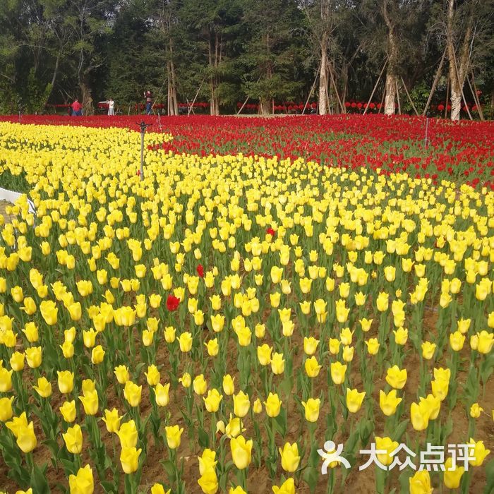 东南花都花博园