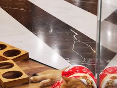 -袖虎·猫馆(体育西路店)