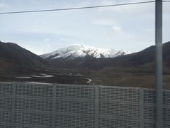 -马学武手抓美食(下南关总店)