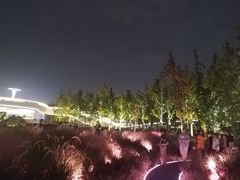 -钱江新城灯光秀