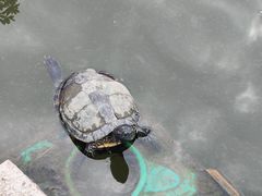 -丝绸小镇荻港古村