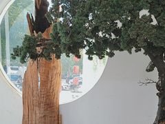 -同和·小葱伴豆腐(凤凰北路店)