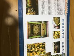 -碧江金楼