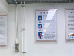 -达爱动物医院·犬猫分区·CT·复杂眼科(远洋山水分院)