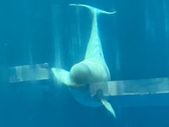 -石林冰雪海洋世界