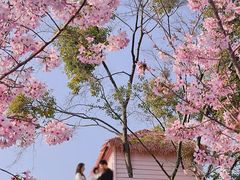 -福建鲤鱼洲酒店