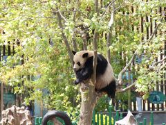 -大连森林动物园