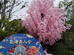 -苏州太湖国家湿地公园