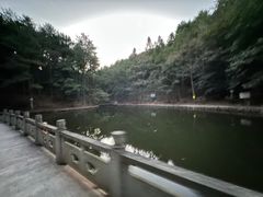 -四明山国家森林公园