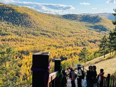 -莫尔道嘎国家森林公园