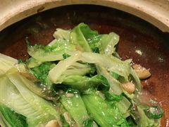 粤式虾膏啫生菜-尚一汤 广东炖汤(金桥国际店)