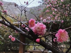 -少华山国家森林公园