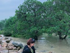 -宝安西湾红树林湿地公园