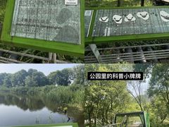 -西湖风景区-江洋畈生态公园